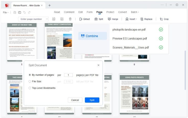 organize pdf