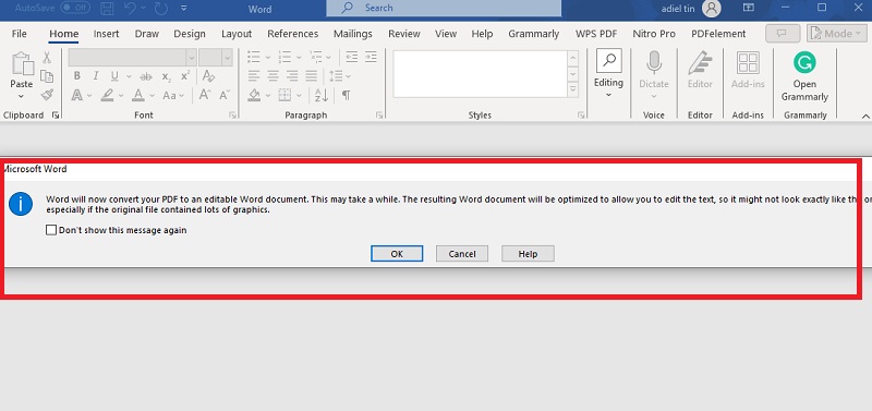 convert the pdf to ms word format